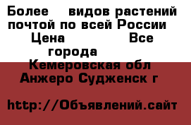 Более200 видов растений почтой по всей России › Цена ­ 100-500 - Все города  »    . Кемеровская обл.,Анжеро-Судженск г.